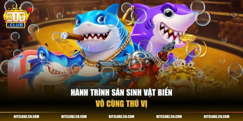 Hành trình săn sinh vật biển vô cùng thú vị