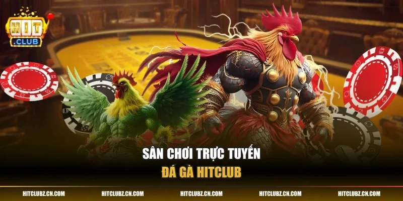 Sân chơi trực tuyến đá gà HITCLUB